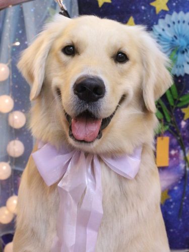 20250702レオくん